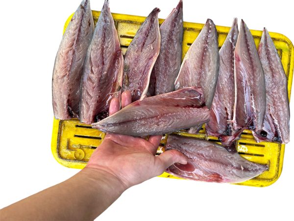 翔昌鍋爐-中型魚三枚、蝴蝶切兩用機：圖片 3
